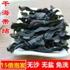 Alga Seca Xiapu de Fujian, Raíces de Alga Gruesas Premium, Tallos de Alga Gruesos Extra Premium, Brotes de Alga de Nueva Cosecha