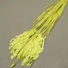 Flor mágica hierba de la pequeña esperanza eterna ramo flor real Natural Alto sentido ins estilo nórdico sala de estar decoración jarrón Flor eterna