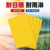 Pegatinas Trampa de Insectos Adhesivas de Doble Cara Fuerte Matanza Insectos Pequeños Voladores Pegar Moscas de la Fruta Señuelo Trampa Artefacto Capturar Mosquitos Moscas Invernadero Tablero Amarillo