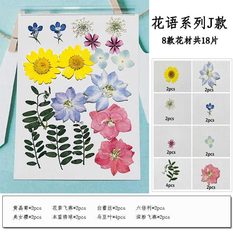 未标题-9副本