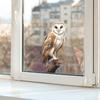 Nuevo divertido-f98 búho personalizado ventana de vidrio hogar fondo embellecedor pegatinas para ventana al por mayor estático uv