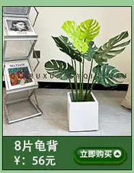 仿真迷你葵
