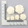 Funda para Teléfono Móvil Accesorios para el Cabello de Flores DIY Tocado Resina Agujero Zapatos Galvanizado DIY Paquete de Materiales con Clip de Encaje Rosa de Pegamento Cremoso