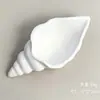 Concha de concha branca estilo oceano pequena criativa concha concha gesso recipiente de concha vazia material preferido DIY