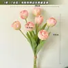 Accesorios de Fotografía de Tulipanes Artificiales Transfronterizos, Decoración para Sala de Estar en Casa, Flores Artificiales de Tela de Seda, Tacto de Alta Calidad, Flores Falsas al por Mayor