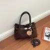 Bolso cruzado de diseño de nicho de moda transfronterizo para mujer 2026 nuevo bolso cruzado de moda bolso de mano personalizado exquisito bolso cubo