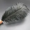 30-35cm Plumas de Avestruz Lámpara de Plumas Arreglo Floral de Plumas de Avestruz Plumas de Boda