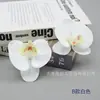 Filme Phalaenopsis Flor Pequena Alta Simulação Sentir Phalaenopsis Férias de Verão Processamento de Acessório de Cabeça DIY Chapéu de Formatura