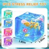 Venda Quente Transfronteiriça Série Oceano Cubo de Concha Brinquedo de Apertar Alívio de Estresse Brinquedo de Puxar para Ventilar Brinquedo de Ventilação para Relaxamento Adulto