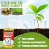 Nutriente para el crecimiento de plantas Yegbong enraizamiento de plantas de flor fertilizante concentrado para promover el crecimiento rechoncho