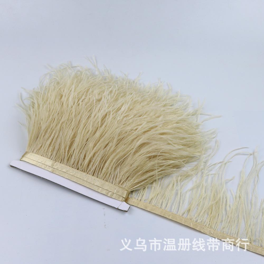 46 ostrich feather fringe 4