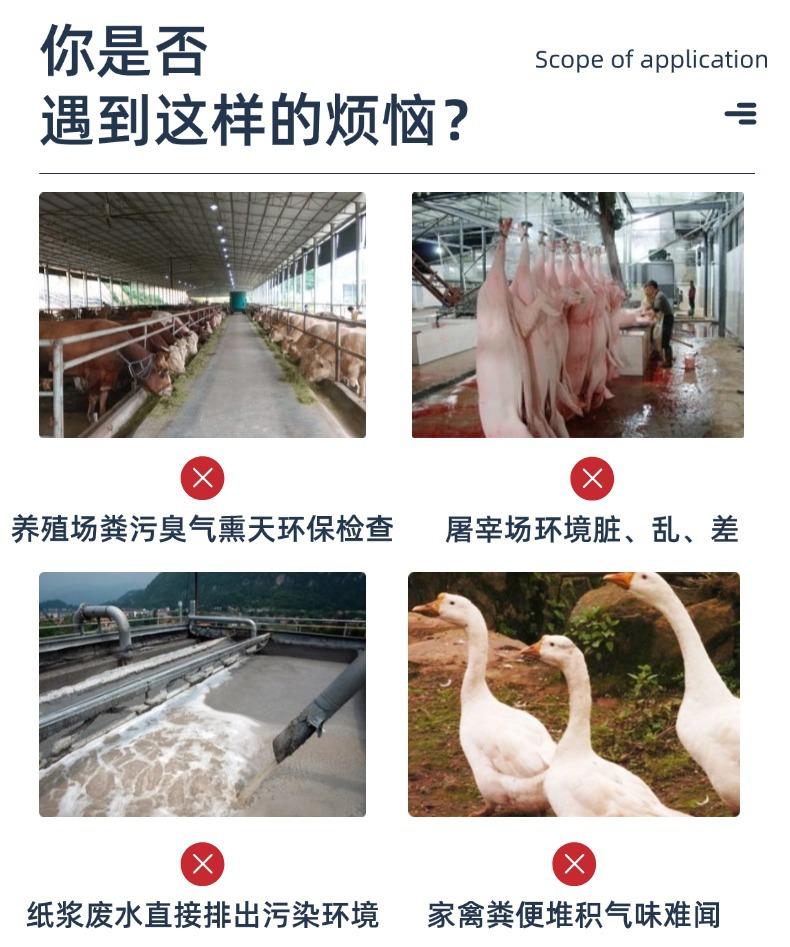 稿定设计-2