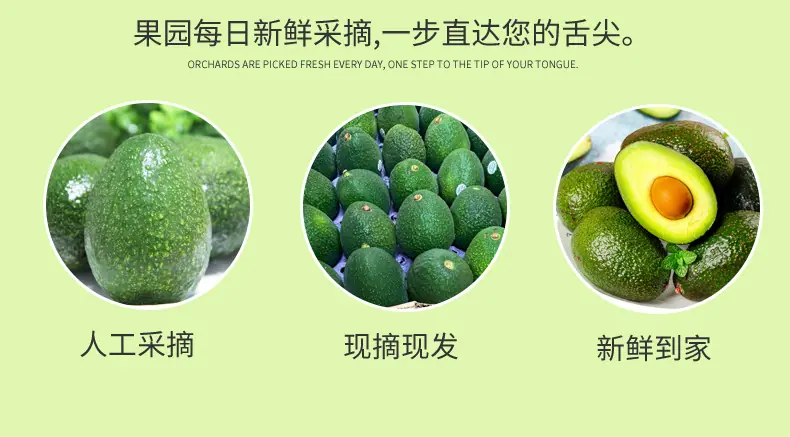 秘鲁进口牛油果 代发2/4/6/8枚中大果鳄梨软糯奶油果全年新鲜水果详情图6