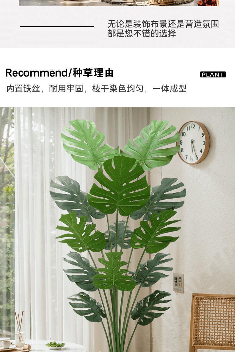 龟背-详情_03.png
