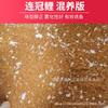 Versión mixta de cría de carpas de corona uniforme Xiaohai, venta al por mayor, cebo competitivo de carpas de pozo negro Wang Haining, pesca Liu Xiaochun, robo de burro, cañón suelto