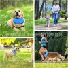 Nuevo Collar Enfriador para Mascotas de Amazon Verano Fresco Almohadilla de Hielo Prevención de Golpe de Calor Perro Bolsa de Hielo Collar Suministros para Mascotas