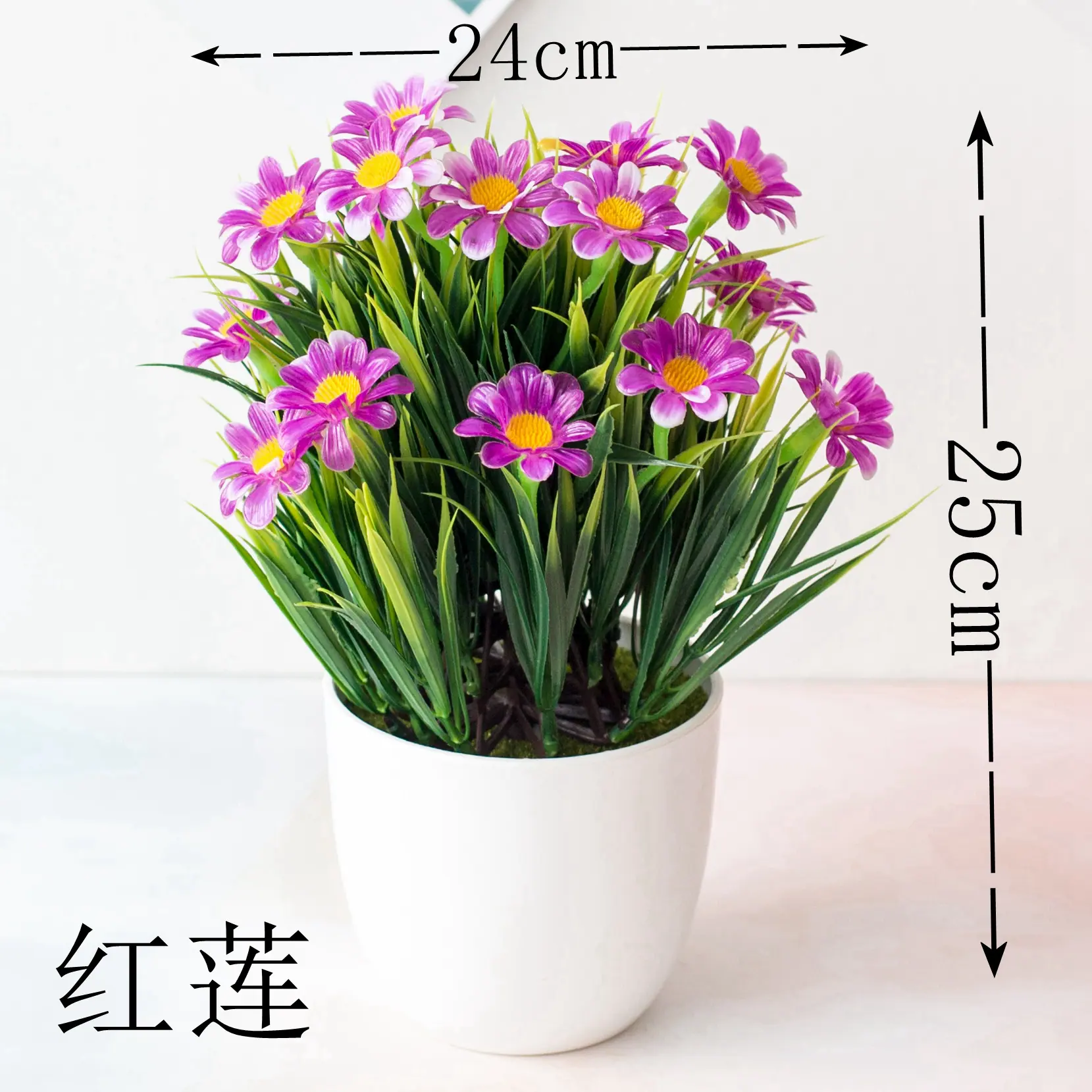 春草菊花