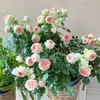 Envío directo de una pieza Pompones Plantones de Rosa para Porche Rosas Fragantes en Maceta Flores Ornamentales y Plantas Verdes