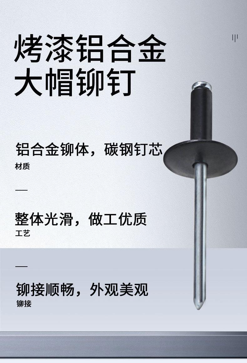 大帽烤漆_02.jpg