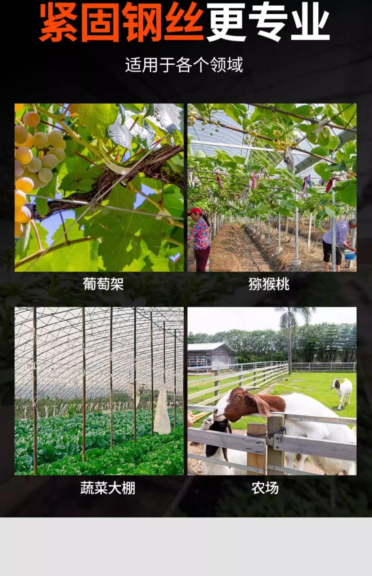 详情图片_05.jpg