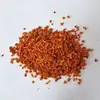 Granos de Calabaza para Catering y Uso en Hoteles, Fabricante de Ingredientes para Papilla de Calabaza, Venta al por Mayor de Granos de Calabaza Secos en Stock, Se Prefiere la Compra al por Mayor
