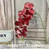 Flores Artificiais Orquídea Phalaenopsis de 9 Cabeças Flores de Seda para Decoração de Sala de Estar, Arranjos Florais de Hotel e Atacado