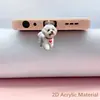 Urso Cachorro Fofo Popular Transfronteiriço Acrílico Plugue de Poeira para Celular Tipo Pingente Type-C