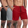 Pantalones Cortos Deportivos Transpirables de Secado Rápido para Hombre, de Ojo de Pájaro, para Exteriores, Casual, Tallas Grandes, Sueltos, para Correr, de Playa