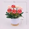 Hermosas plantas pequeñas decorativas en maceta, flores de plástico, juego de flores artificiales, decoración de bonsái para sala de estar, arreglo floral casero, plantas en maceta