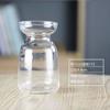 Jarrón Hidropónico Nórdico Venta al por Mayor Flores Acuáticas Utensilios para Arreglos Florales Adornos ins para Mesa de Comedor Jarrón Pequeño Decorativo Suave
