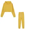 Europa y Estados Unidos transfronterizos pantalones de cintura alta de otoño conjunto de dos piezas para mujer explosiones de Amazon con capucha manga larga moda traje sexy