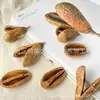 Molduras Decorativas DIY para Espécimes de Plantas e Frutas Secas Importadas Artesanato Decorativo DIY Kits de Materiais DIY Moldura Atacado