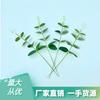 Ramo de eucalipto artificial de hoja de dinero, verde, superventas en Amazon, para decoración del hogar, 33 cm