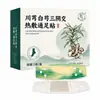 Adesivo Herbal Aishang Estilo Igual para Barriga para Perda de Peso, Adesivo de Acupuntura Moxa no Umbigo, Adesivo para Cintura e Abdômen, Adesivo de Moxabustão em Pontos de Acupuntura Emagrecedor
