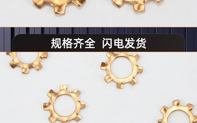 黄铜外齿止动垫圈_03_18.jpg
