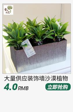 多肉植物---副本_05.jpg