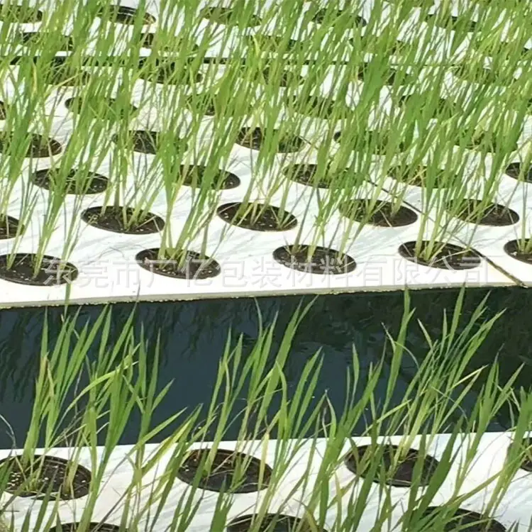 水稻种植板-20220710.jpg