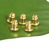 Tapón de Cierre para Pendiente, Tapón de Pendiente Pagoda Anticaída, Tapón de Soporte Antideslizante para Oreja, Tapón de Oreja Elegante, Accesorios Elevadores de Margarita Antipinchazos