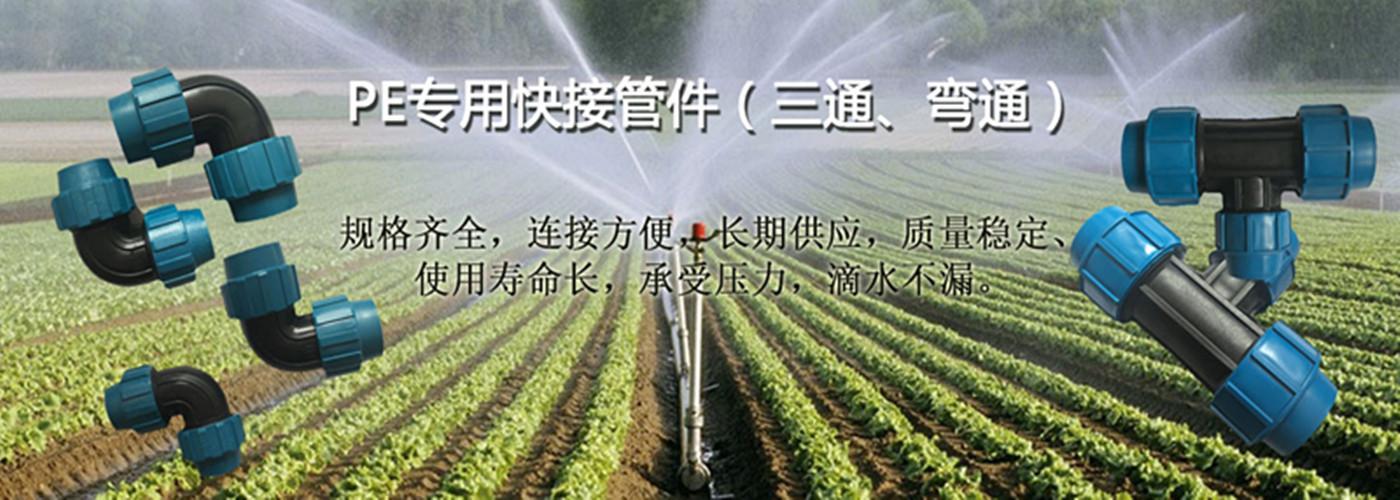 5_副本
