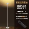 Lámpara de pie decorativa moderna minimalista para mesita de noche de apartamento pequeño, luz de lujo minimalista de hotel, para ambiente de dormitorio, ilumina directamente la pared