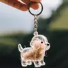 Almacenamiento de Pelo de Perro Lindo Colgante Llavero Colgante de Bolsa Colección Cápsula Conmemorativo Dibujo Animado Creativo Colgante de Pelo de Mascota