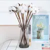Algodão de Xinjiang Flores Secas Luxo Eterno Buquê Real Pinhões Naturais Secos ao Ar Kit de Material DIY Ornamentos Decorativos Estilo Ins