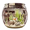 Aquário de Peixe de Plástico Transparente para Mesa de Escritório Sala de Estar Aquário de Micro Paisagem Aquário de Tartaruga Mini Aquário Ecológico