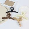 Clip de alta gama simple lindo temperamento accesorios para el cabello otoño e invierno pinza para el cabello de mujer venta al por mayor lujo ligero pinza de agarre tiburón grande geometría