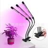 Lâmpada de Crescimento de Plantas, Luz de Preenchimento para Suculentas, Imitação de Cor Solar Lâmpada LED Tipo Clipe USB, Flor Mudas Domésticas Internas