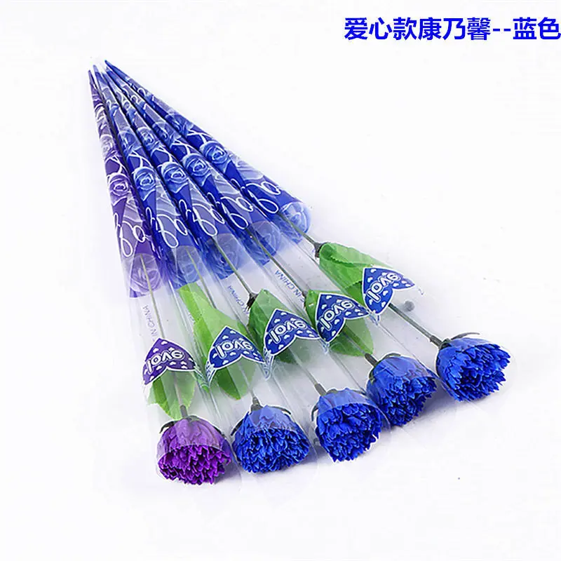 爱心款康乃馨 (2)_副本