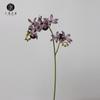 Directo de fábrica orquídea pavo real de 2 varas orquídea pájaro loco pequeña flor artificial flor falsa decoración del hogar flor para fotografía arreglo floral