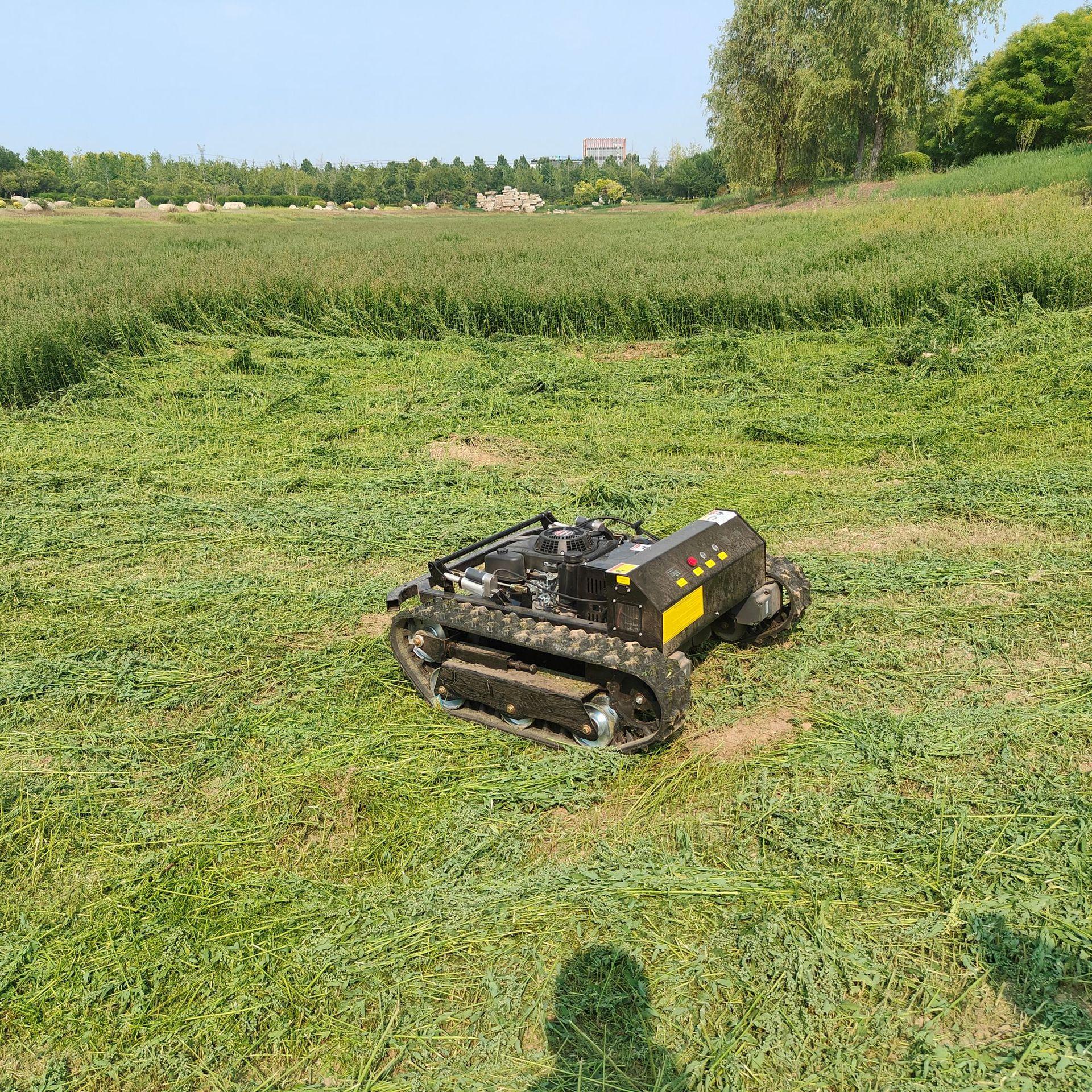 IMG20250527153108.jpg