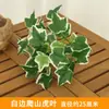 Accesorios de Pared de Plantas Simuladas Accesorios de Pared de Plantas Verdes Persa con Césped Colgante de Pared Decoración Verde para Interior Pared de Fondo de Balcón