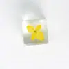 Venda Quente Transfronteiriça Cola de Cristal Resina Planta Quadrada Produção de Espécimes DIY Artesanal Flores Secas Flor Real Âmbar Estéreo